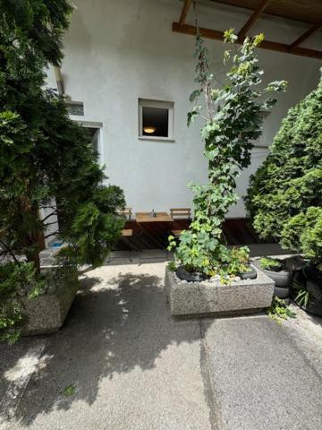 Cozy Flat Near Tivoli Park With Free Parking Apartment ลูบลิยานา ภายนอก รูปภาพ